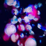 Dave Rohs - @daverohs - Instagram