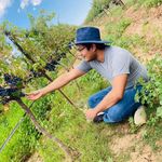 Dave Rojas - @dave.zero - Instagram