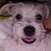 Dave Rojas - Facebook