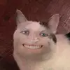 daverojo - @daverojo0 - TikTok
