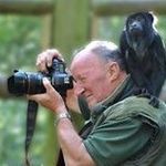 Dave Rolfe - @wildlife_shots - Instagram