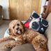 Dave Romano - Facebook