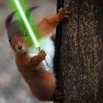 Dave Rood - @squirrelforceone - Instagram