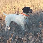 Dave Rood - @rood8347 - Instagram