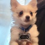 Dave Rooney - @daveandzola - Instagram
