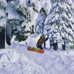 daveroppel - @davidroppel66 - Instagram