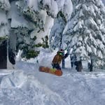 David Roppel - @daveroppel - Instagram
