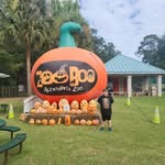David Houston Rosenbaum - @bigdavehd97 - Instagram