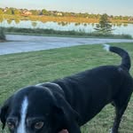 David Rosenbaum - @david_rosenbaum_ - Instagram