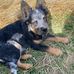 Dave Roush - Facebook