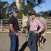 Equidae - Sue &amp; Dave Rowden "The Horse Dentist" - Facebook