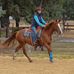 Rockridge Horsemanship Foundation Training Dave and Sue Rowden - Facebook