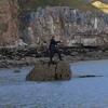 Dave Rowlands - @daverowlands84 - TikTok