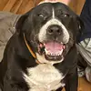 Dave Rucker Vieira - @dave.rucker.vieir - TikTok