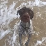 Dave Rudd - @rudd9362 - Instagram