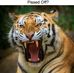 Dave Saucier - Facebook
