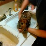Dave Sawyer - @dave.sawyer.9809 - Instagram