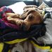 Dave Sawyer - Facebook
