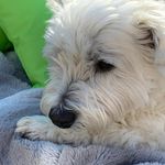 Dave Schofield - @dave.schofield.10485 - Instagram