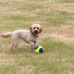 David Schofield - Facebook