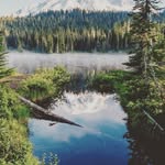 Dave Schouten - @daveisdenaam - Instagram