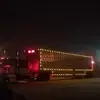 Dave Schultz - @dave.schultz1 - TikTok