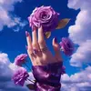 Dave Sears - @dave.sears1 - TikTok