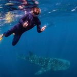 Dave Sears - @dave.sears.77 - Instagram