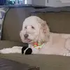 davesears63 - @davesears63 - TikTok