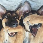 Dave Seeley - @column4590 - Instagram