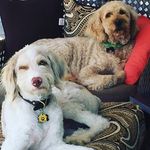 Dave Seeley - @seeley5828 - Instagram
