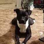 Dave Seeley - @superman4ever83 - Instagram