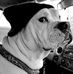 David Seeley - Facebook