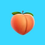 david segal - @booty_designers - Instagram
