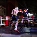 David segal - @davidsegal44 - Instagram