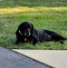 Dave Sell - Facebook