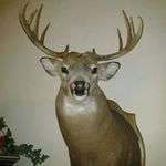 Dave Sell - @dave.sell - Instagram