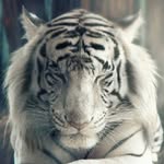 Dave Shah - @daveshah876 - Instagram