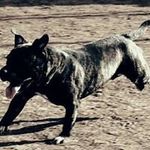Dave Sharp - @depsharp - Instagram