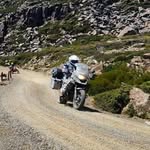 David Shearer - @daveshearer_ - Instagram
