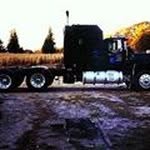 dave shelly - @superdawg87 - Instagram
