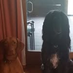 Dave Sheppard - @dave.sheppard.92775 - Instagram
