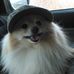 David Sheppard - Facebook