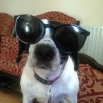 David Shinners - @dave_shinners04 - Instagram