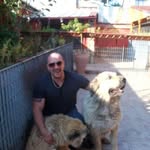 Dave shipley - @daveshipley63 - Instagram