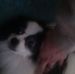 Dave Shipp - Facebook