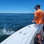 Dave Short - @dave.short.24 - Instagram