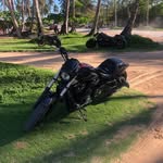 Dave Simoneau - @simoneau_dave - Instagram