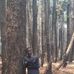 David Simone David - Facebook