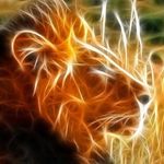 Dave Sinha - @dave.sinha.731 - Instagram